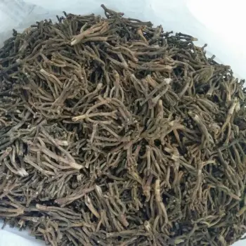 Fresh Clove Stem